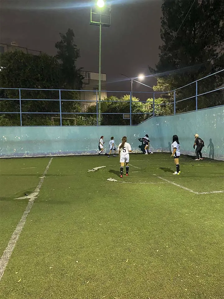 Torneo mixto 2025: finales en puerta América juego de la fecha 14