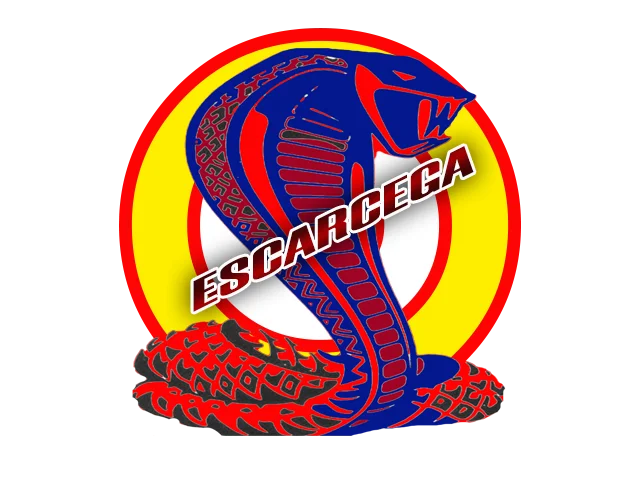 Calendario de partidos scarcega